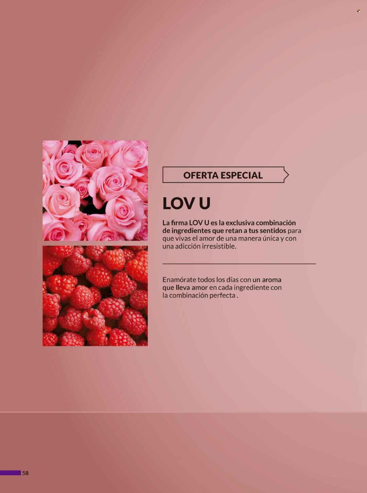 Catálogo Avon.