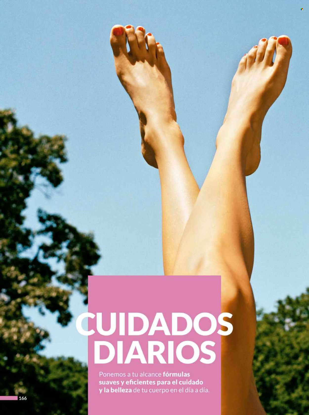 Catálogo Avon.